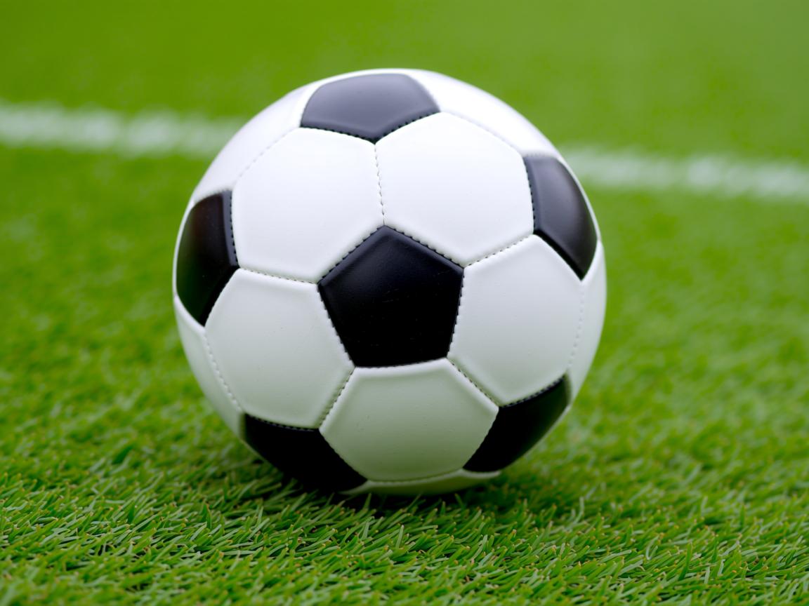 od体育平台-印度队在2024年国际乒联混合团体世界杯中的进步与挑战，印度世预赛