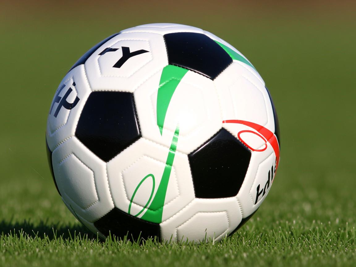 od体育官网app-国家队备战思维缺乏数据支撑，国家队备战思维缺乏数据支撑怎么办