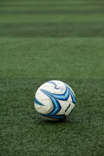 od体育在线-校园足球项目考核标准缺乏可复制性，校园足球项目绩效自评报告  第3张